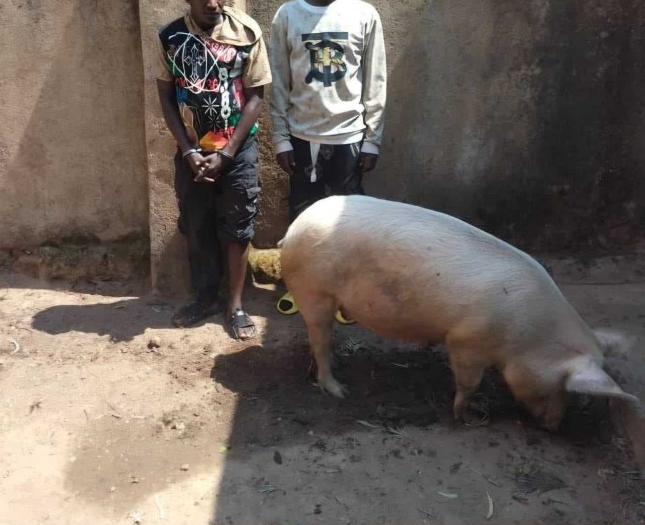 Kamonyi: Umugabo yafatanywe udupfunyika tw’urumogi 135 n'ingurube yibye