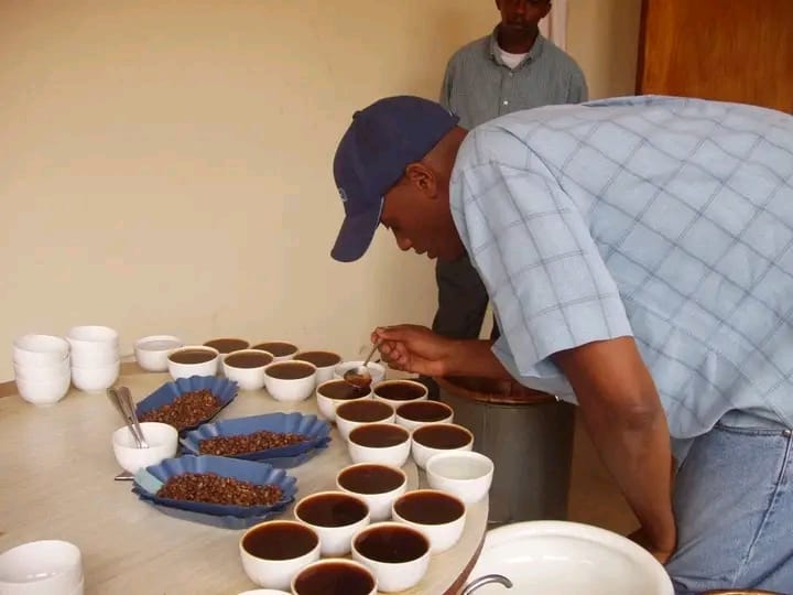 U Rwanda rurasabwa kongera agaciro k’ikawa no guteza imbere abahinzi